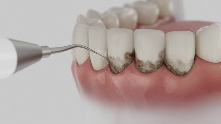 Reliable Dental contractor in Overlea, MD by Dentist Open Now